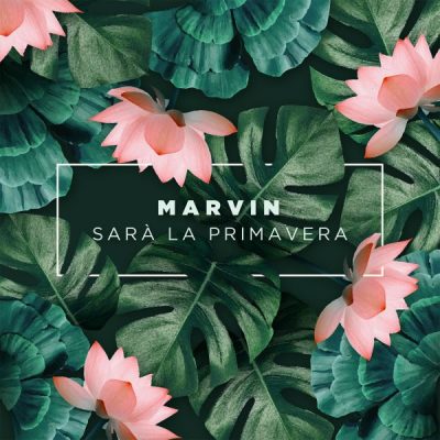 Marvin