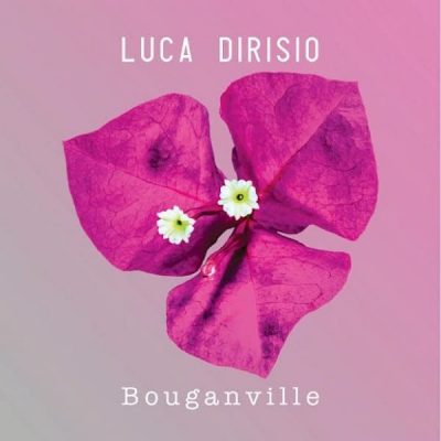 luca dirisio