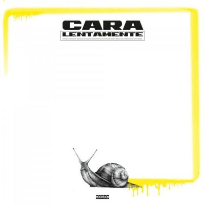 Cara