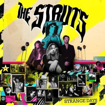 The Struts