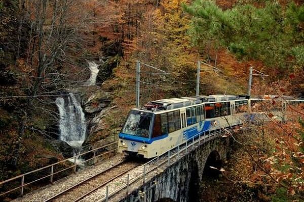 Treno del Foliage