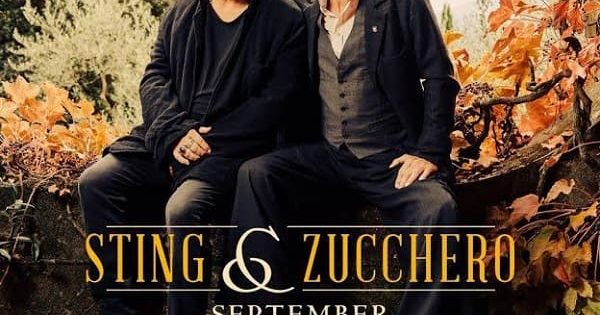 zucchero - sting