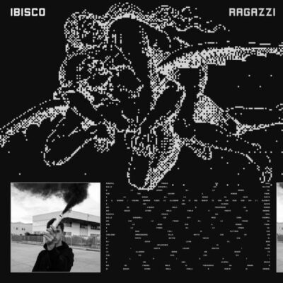 Ibisco