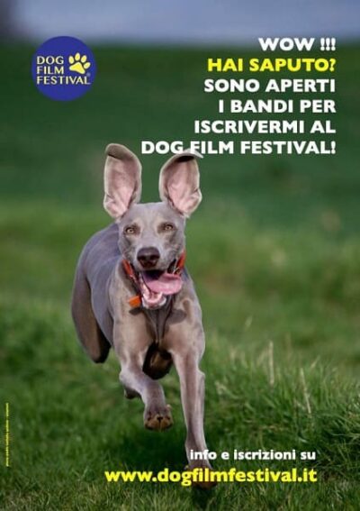 Dog Film Festival