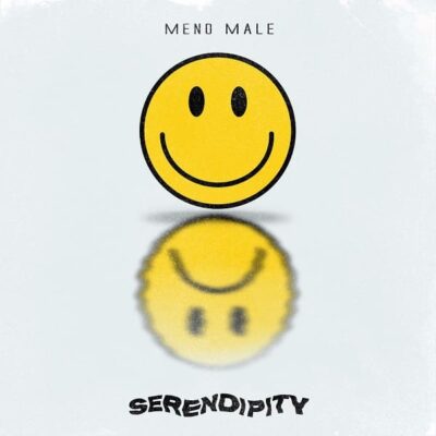 serendipity