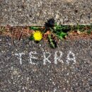 Eugenio In Via Di Gioia