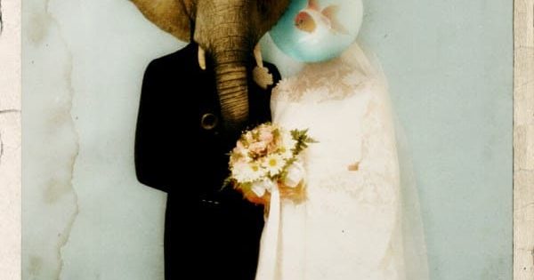 Pinguini Tattici Nucleari