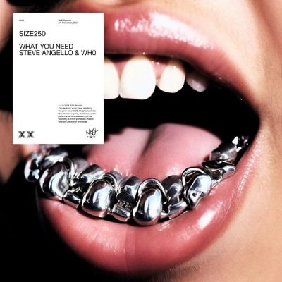 steve angello