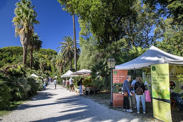 La Conserva della neve - orto botanico roma