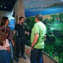 Gardaland SEA LIFE Aquarium