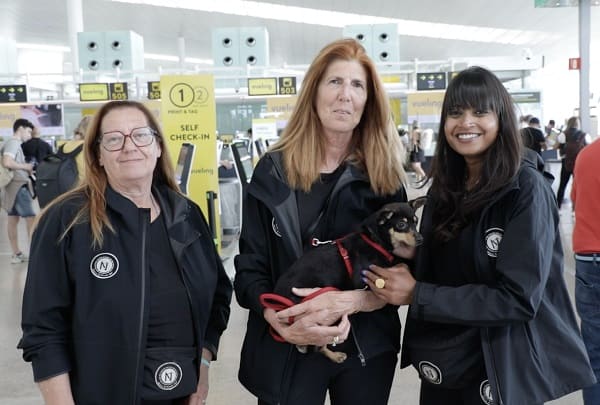 Vueling - Nasoni and Friends ODV