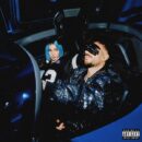 Fred De Palma - Rose Villain