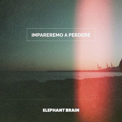 Elephant Brain