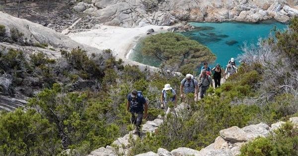 Isola di Montecristo - isola d'elba ph. Roberto Ridi per PNAT