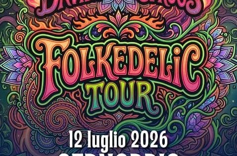 davide van de sfroos - Lake Sound Park