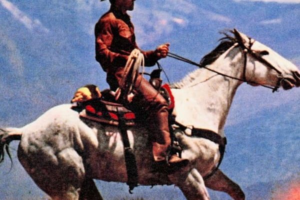 The Strokes - courtesy of Richard Prince