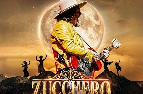 Zucchero