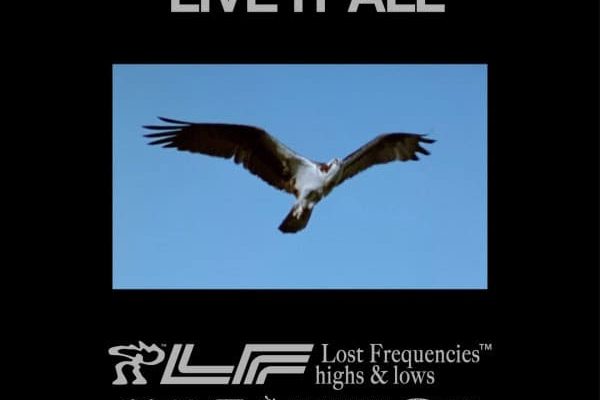 Lost Frequencies