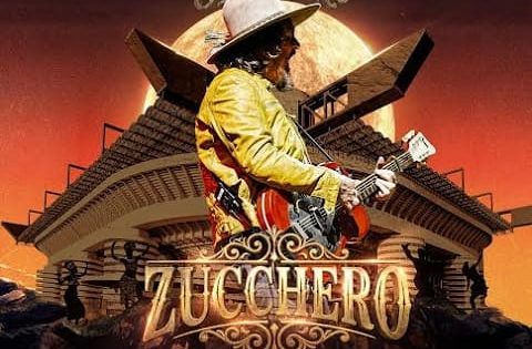 Zucchero
