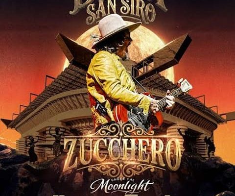 Zucchero
