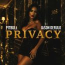pitbull - jason derulo