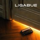 Ligabue