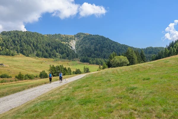 valtellina trivigno