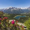 ValMalenco LagoPalù - Valtellina