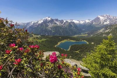 ValMalenco LagoPalù - Valtellina