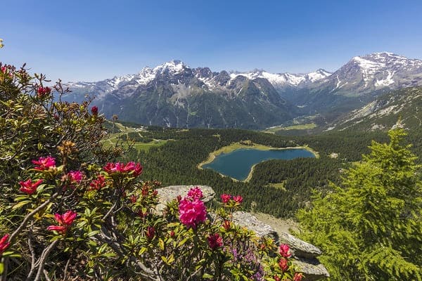 ValMalenco LagoPalù - Valtellina