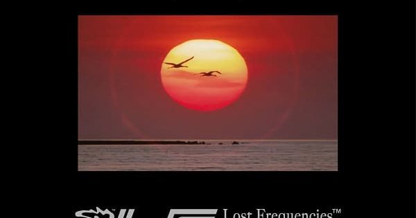 Lost Frequencies