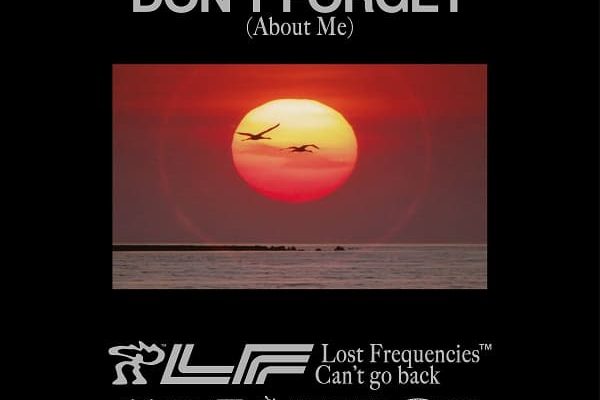 Lost Frequencies